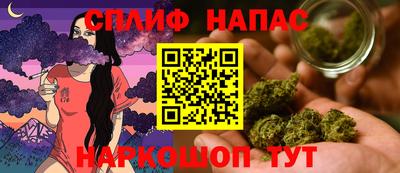 дмт Новозыбков